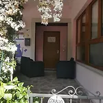 Daire La Gatta Viola *