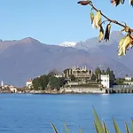 La Gatta Viola