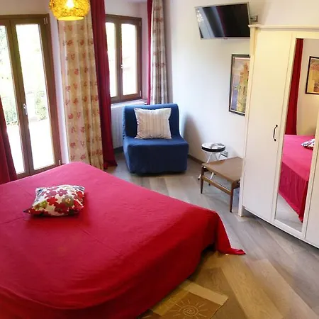 La Gatta Viola * סטרסה