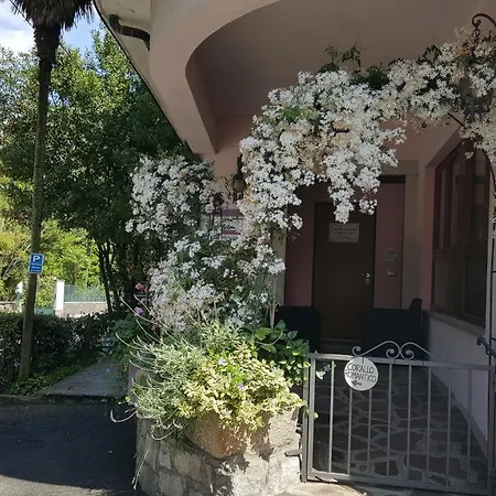 La Gatta Viola Apartment *