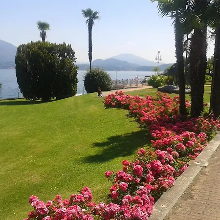 La Gatta Viola * סטרסה