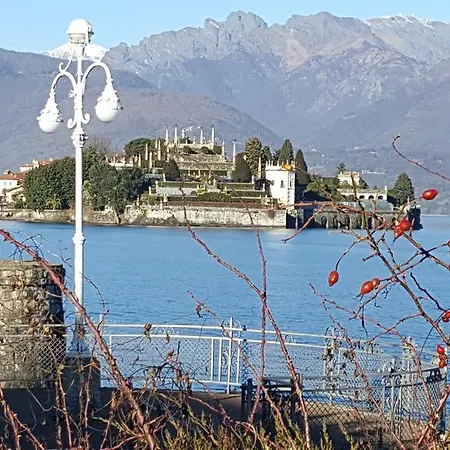 La Gatta Viola * סטרסה