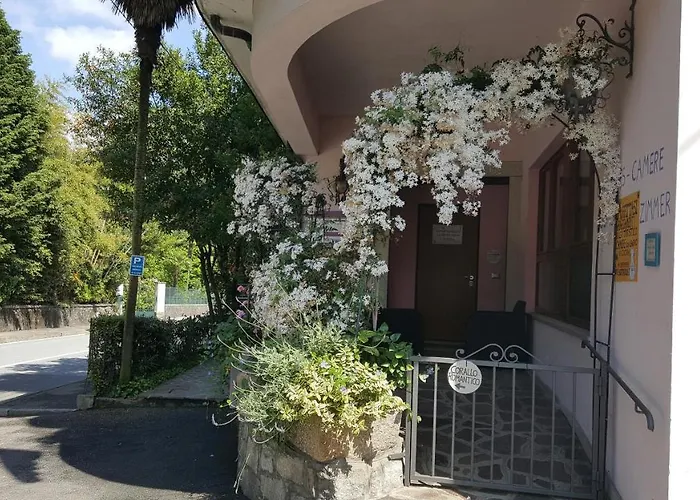 La Gatta Viola Appartement *