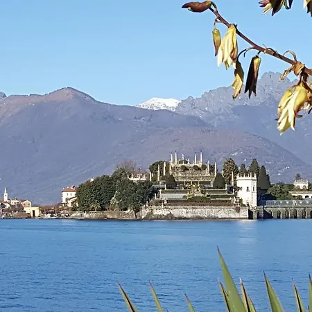 La Gatta Viola