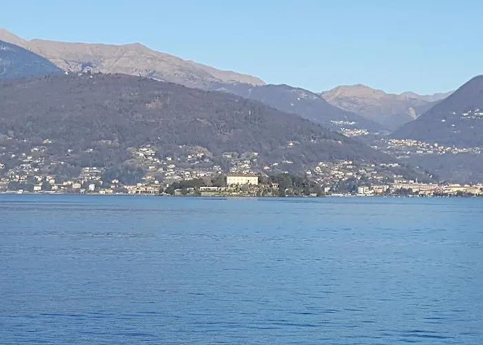 La Gatta Viola *